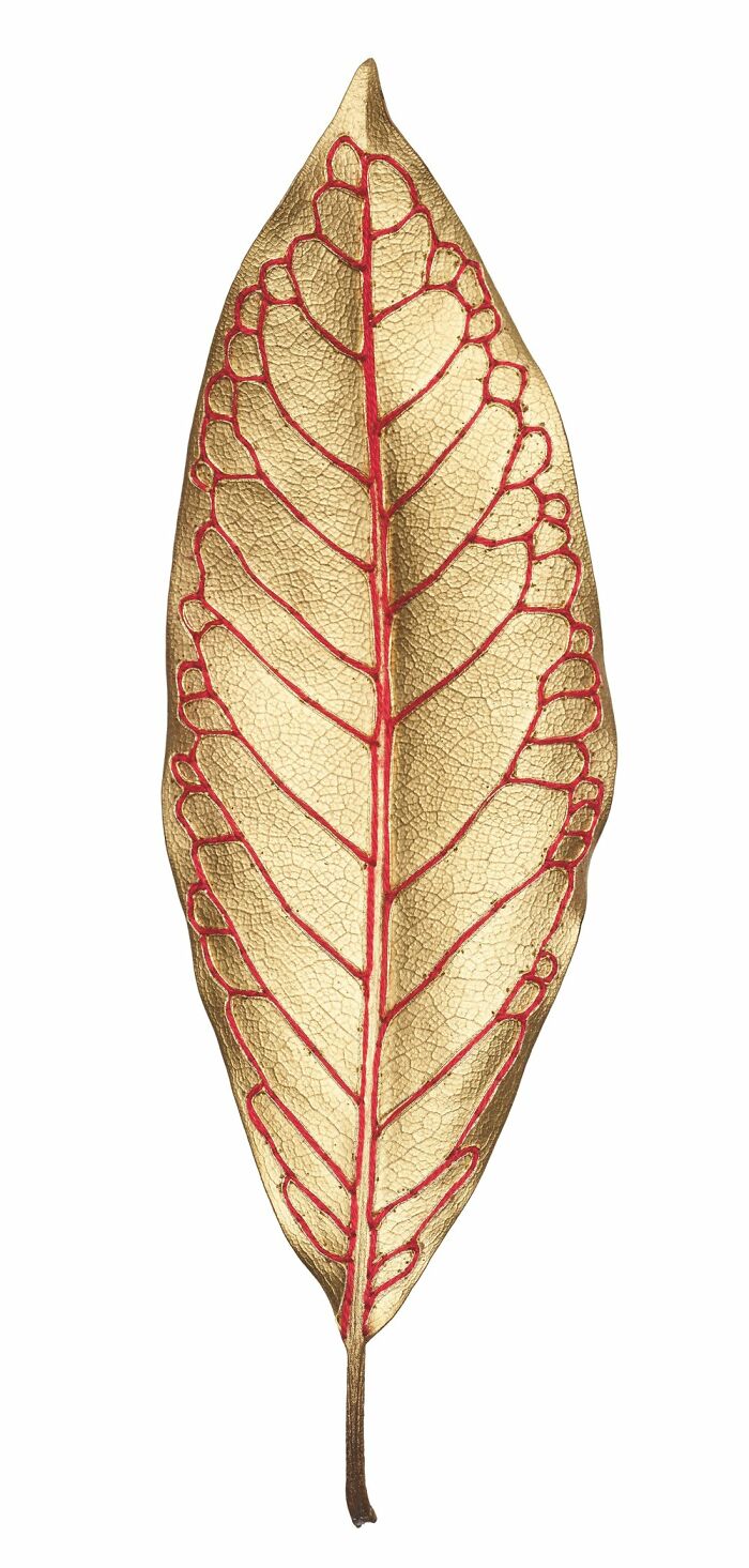 Leaf Swag x L’occitane Part Deux