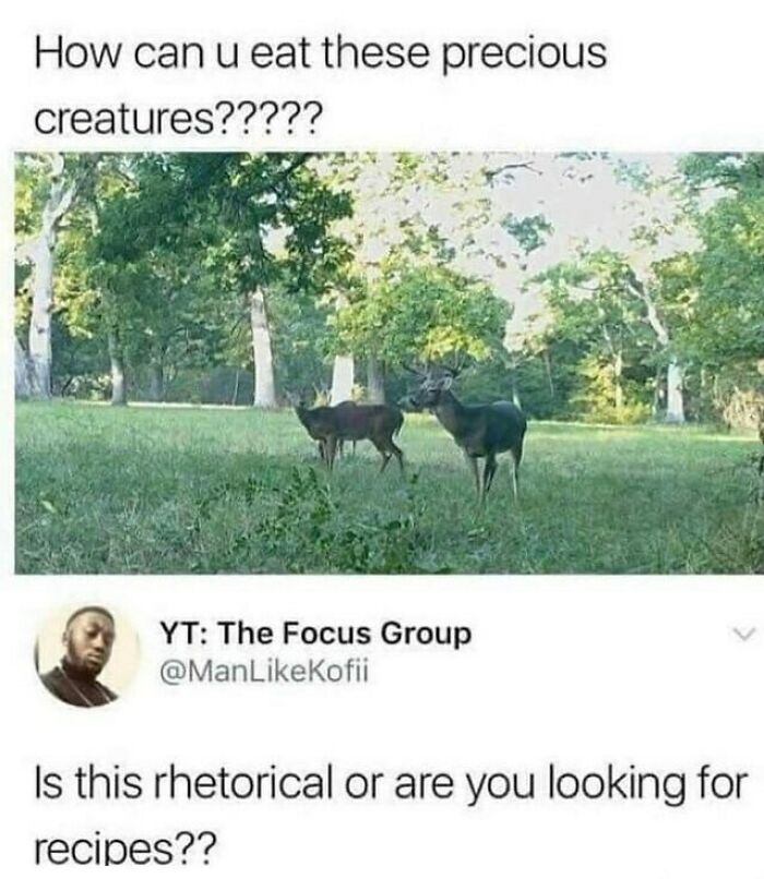 Camping & Hiking Memes That’ll Totally Crack You Up