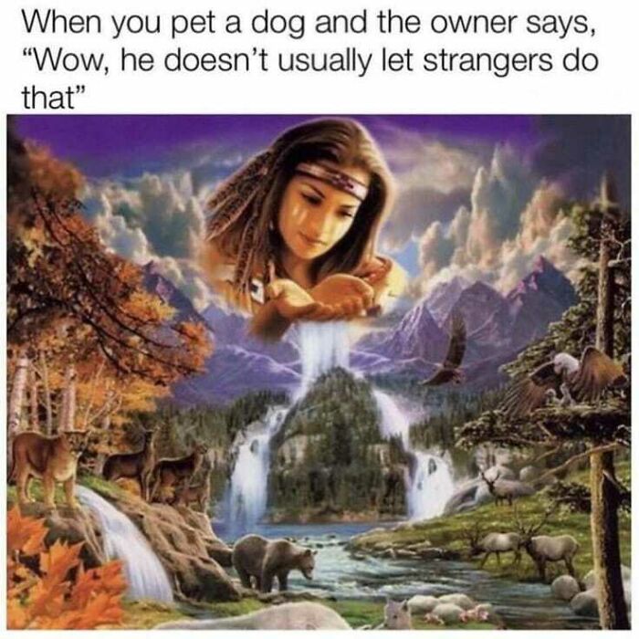 Camping & Hiking Memes That’ll Totally Crack You Up