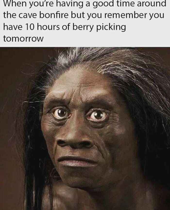 Camping & Hiking Memes That’ll Totally Crack You Up