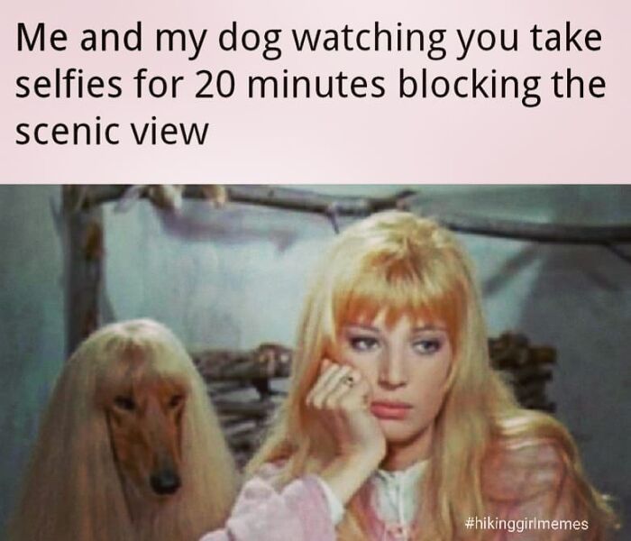 Camping & Hiking Memes That’ll Totally Crack You Up