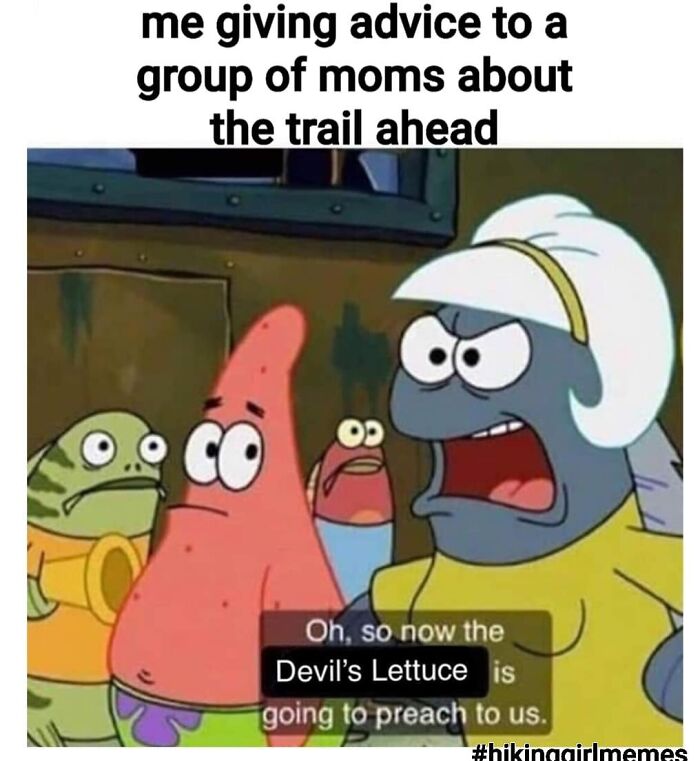 Camping & Hiking Memes That’ll Totally Crack You Up