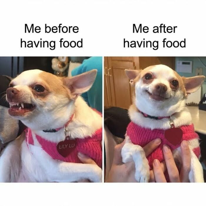These 45 Food Memes Will Totally Spice Up Your Lunch Break