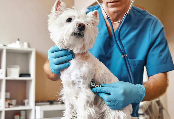 Let's Spill The Tea On 45 Gut Feelings That Were Spot-On!