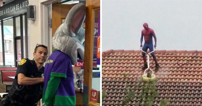 The Wildest and Weirdest Florida Moments You Didn’t Think Were Real