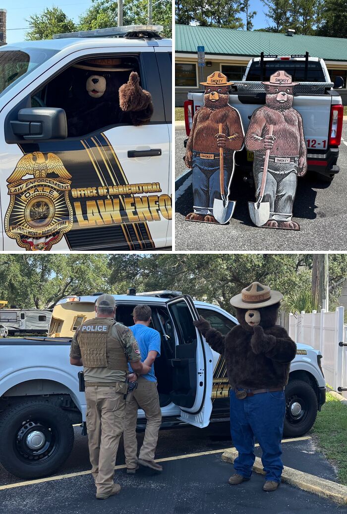 Smokey Bear Helps Nab Sign-Stealing Criminal