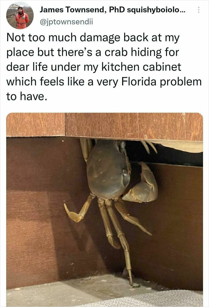 Florida Man? More Like Florida Crab-Man