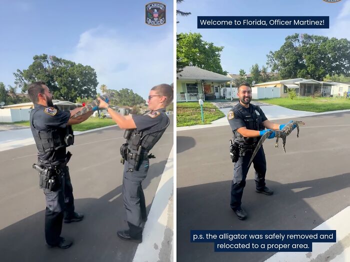 New NY Cop Gets Wild Welcome On First Alligator Call In Florida