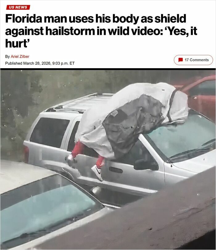 Nope, Not Letting That Hail Happen. Insurance Matters, Florida Style.