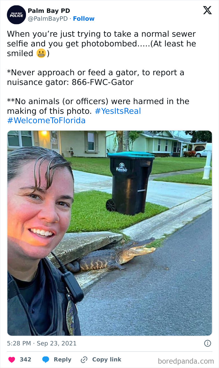 Only In Florida: Weirder Than You Thought