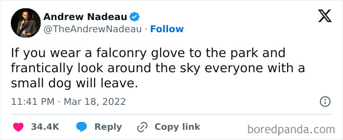 Fun Times At The Park