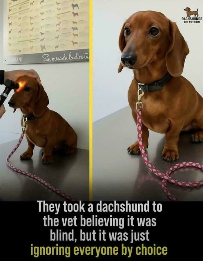 Why You Gotta Be So Rude?!