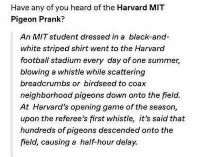 Psychology At Its Finest