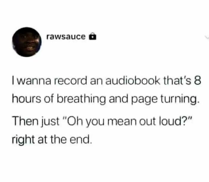 Audiobook Troll