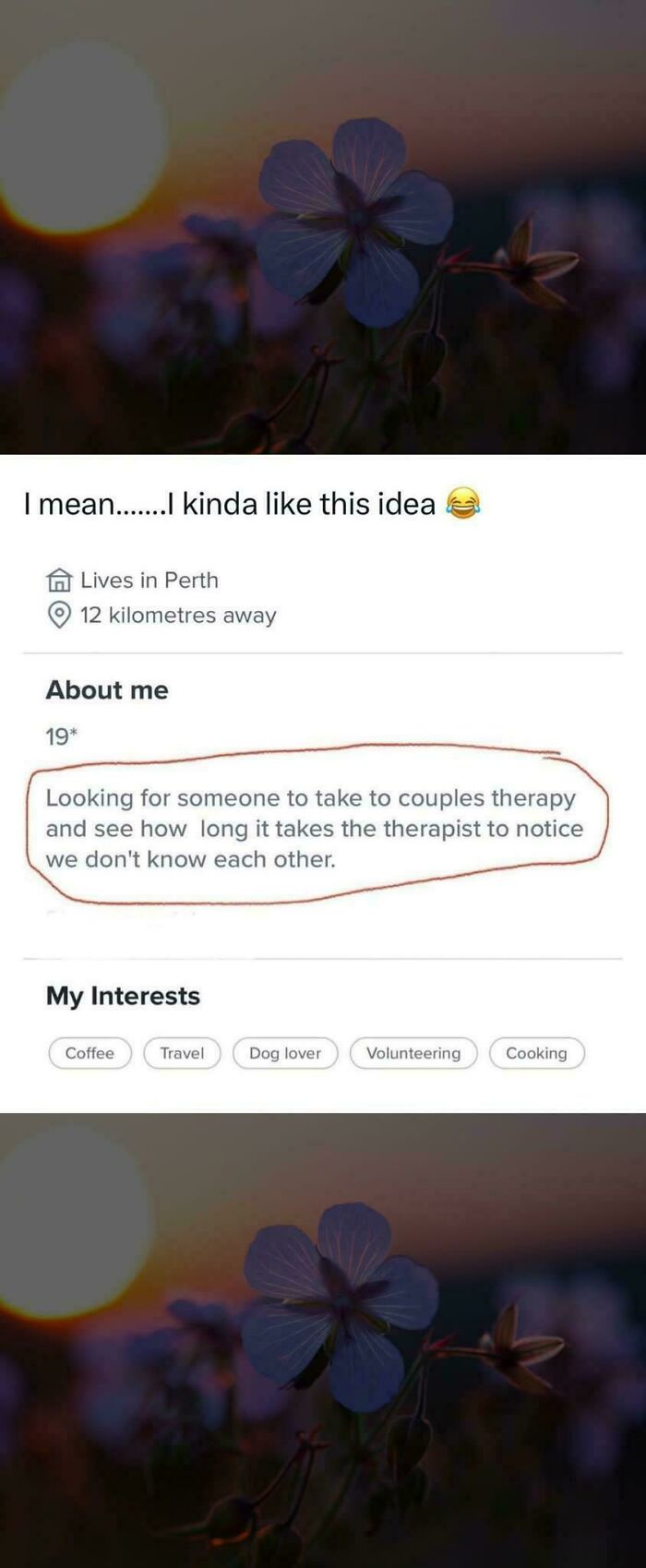 I Really Want An Update