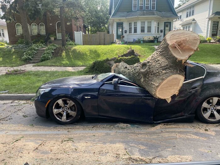 BMW Meets Tree: A Love Story Gone Wrong