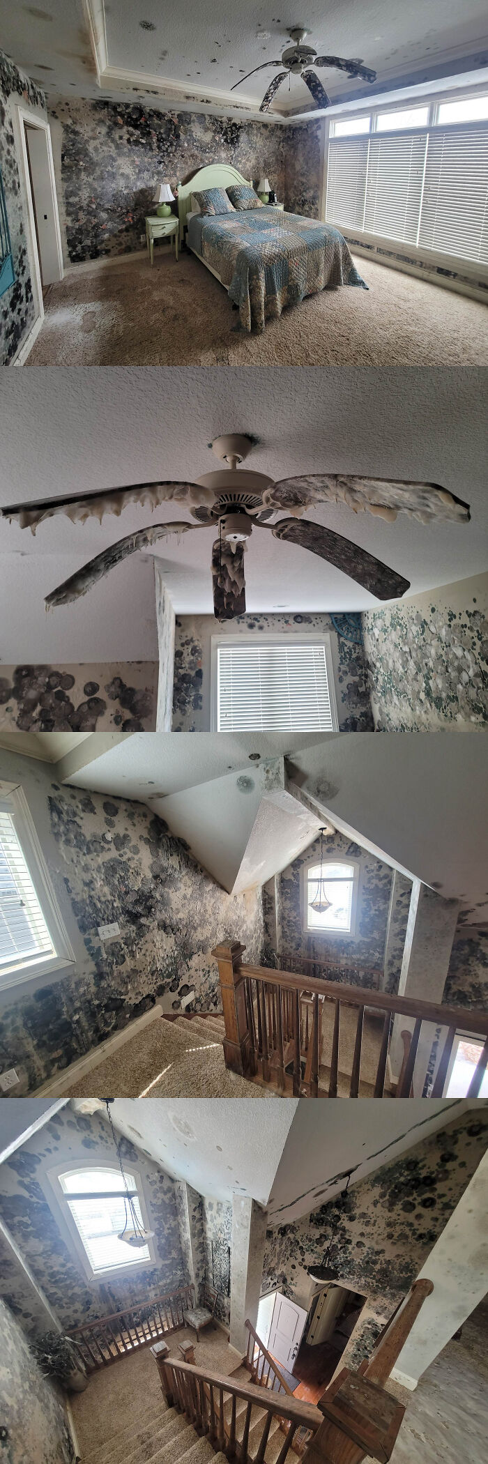 Freeze, Leak, Mold! Winter Home Horror