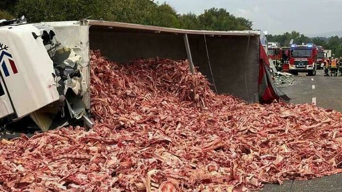 Oops! The Most Ridiculously Expensive Fails You Won't Believe Happened