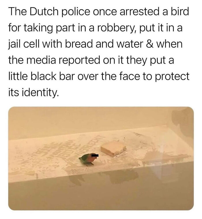 United States Of America