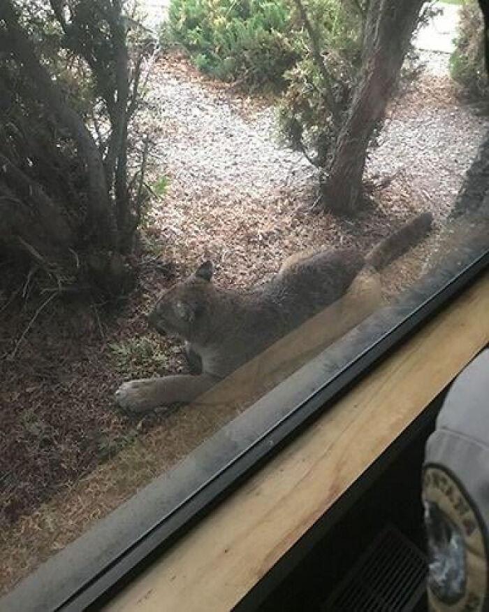 United States Of America