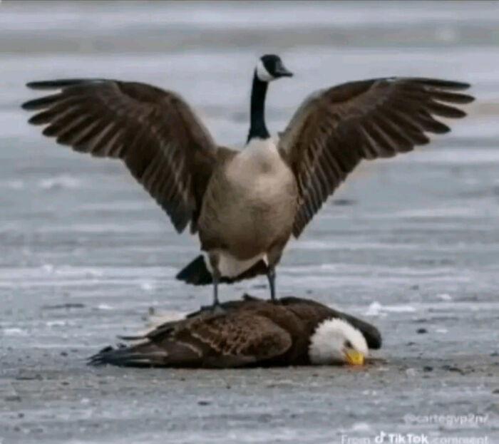 United States Of America