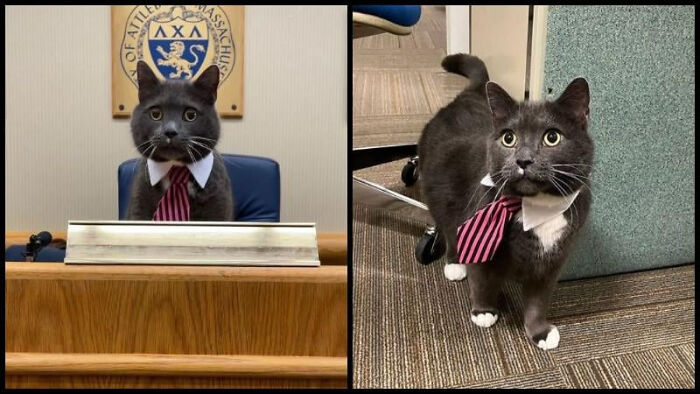 United States Of America