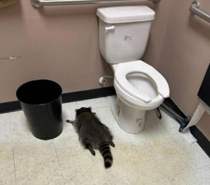 United States Of America