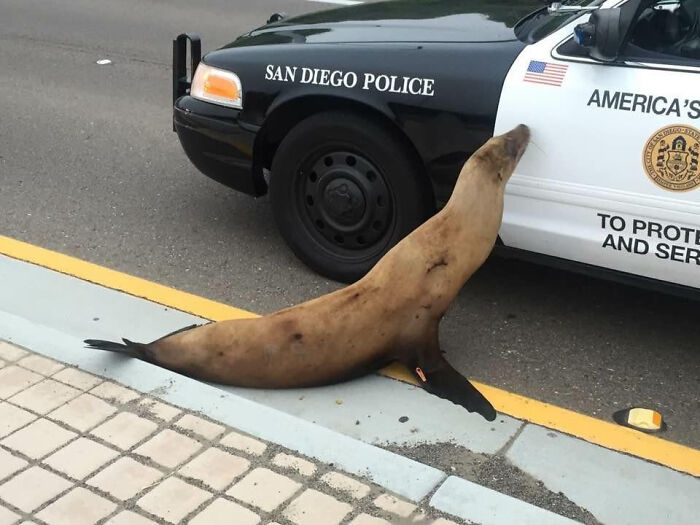 United States Of America