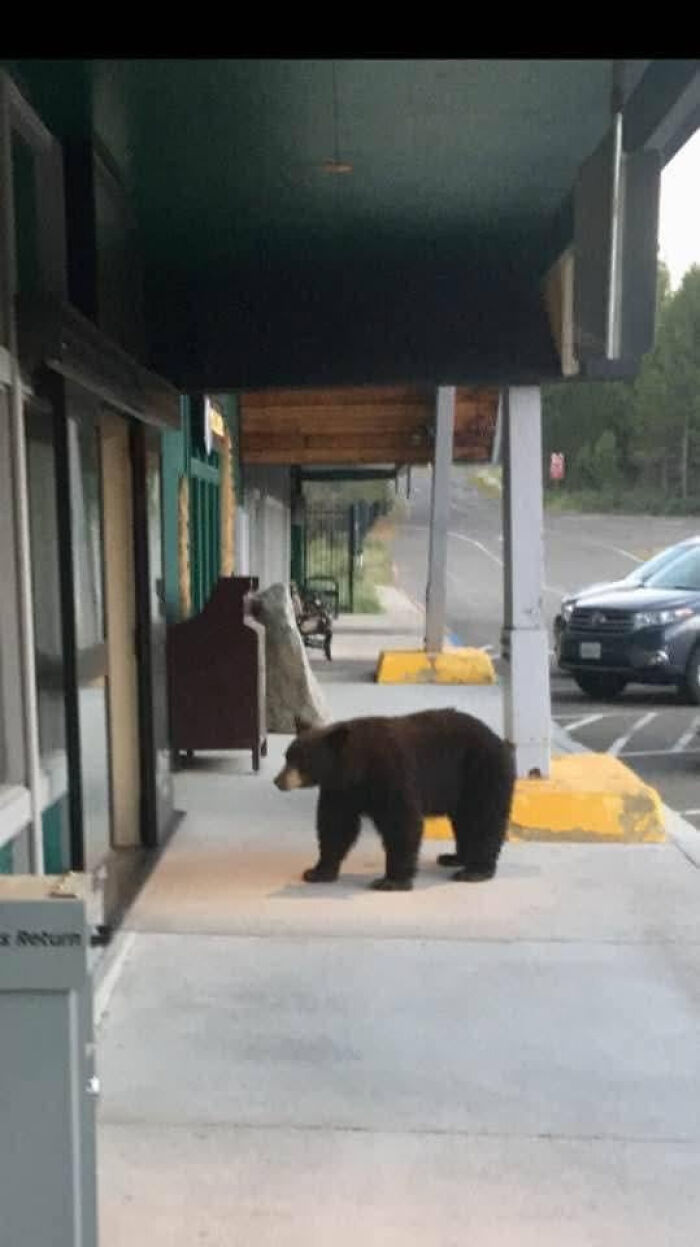 United States Of America