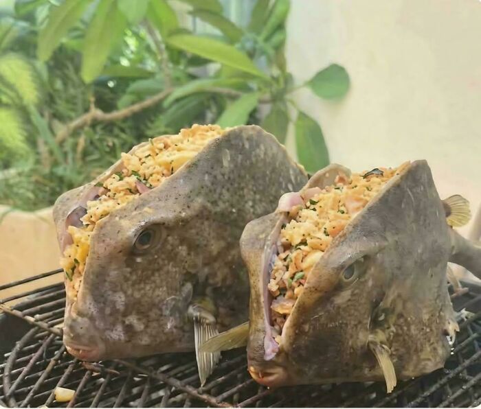 Fish Taco, But Wait... What?