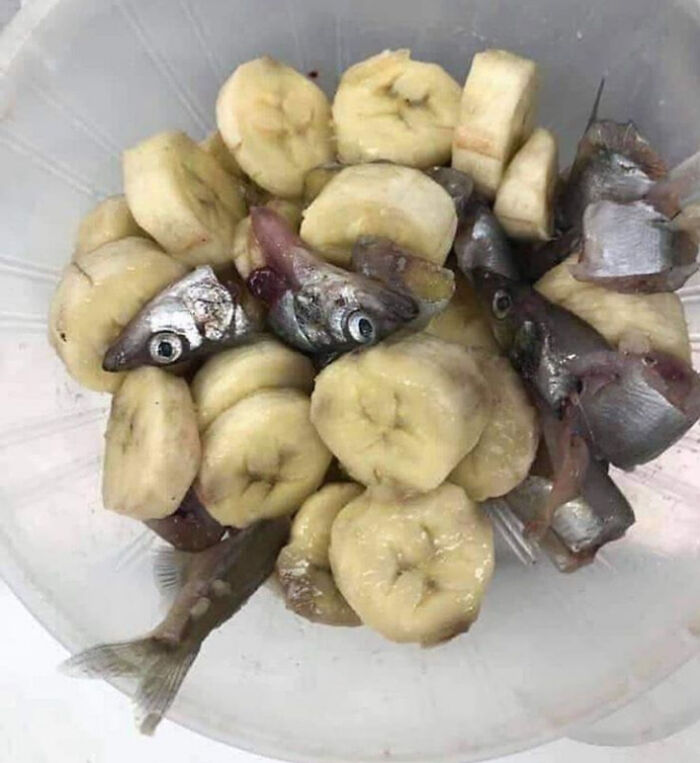 Wait, People Actually Ate These?! The Wildest Food Fails You'll Ever See