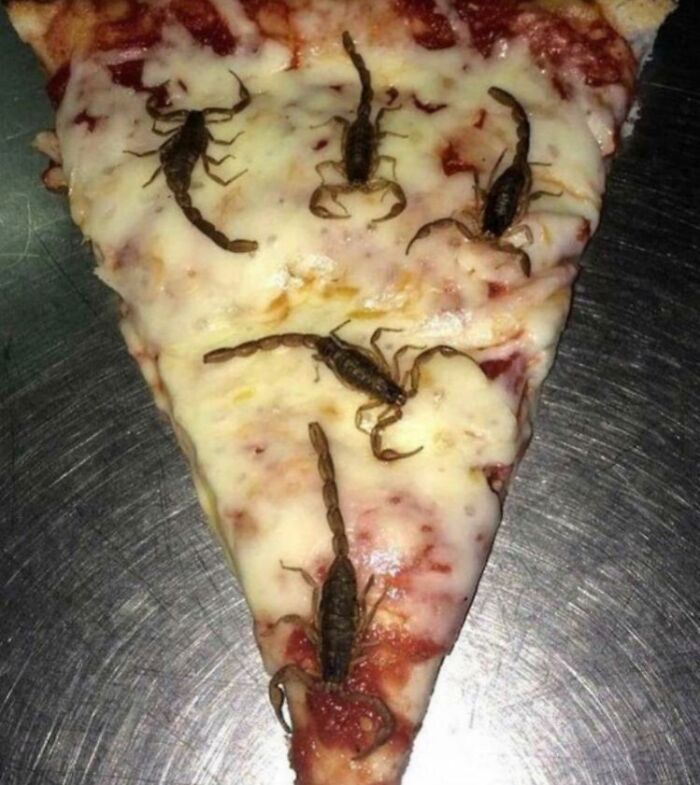 Wait, People Actually Ate These?! The Wildest Food Fails You'll Ever See