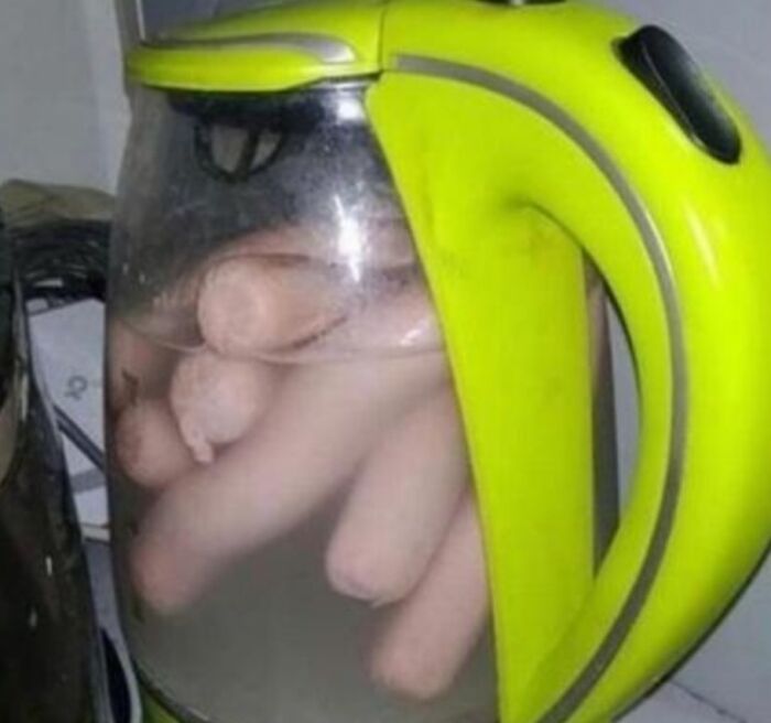 Wait, People Actually Ate These?! The Wildest Food Fails You'll Ever See