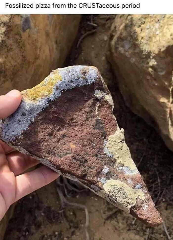 Wait, People Actually Ate These?! The Wildest Food Fails You'll Ever See