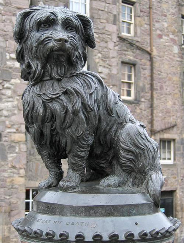 Wait, They Actually Ranked These Urban Legends?!