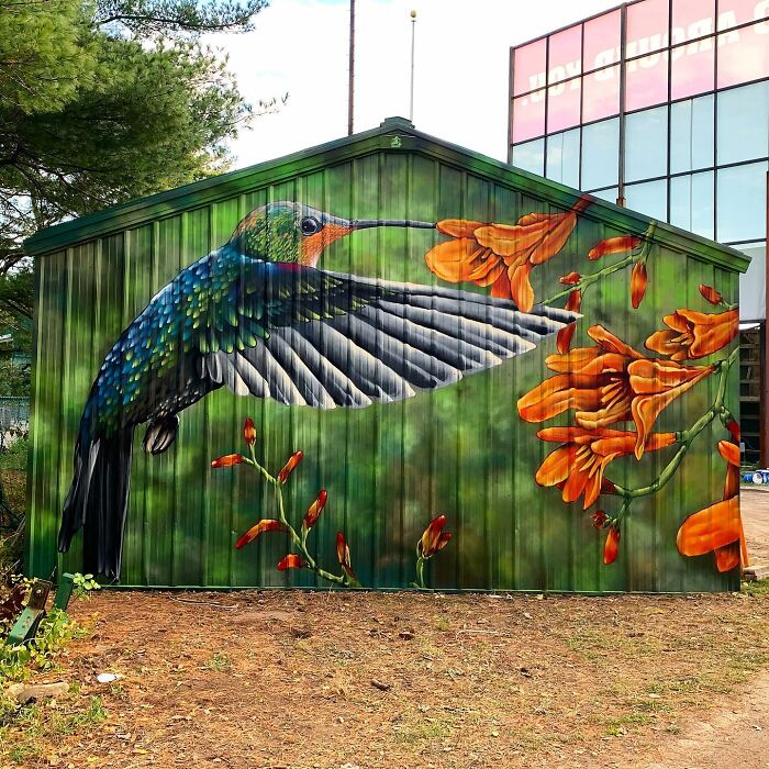50 Jaw-Dropping Murals That Totally Transform New England Walls