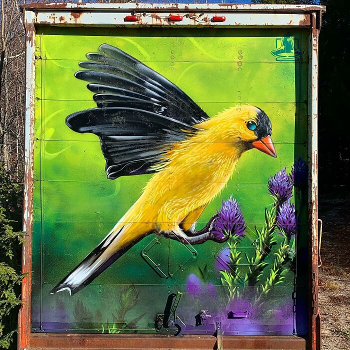 50 Jaw-Dropping Murals That Totally Transform New England Walls