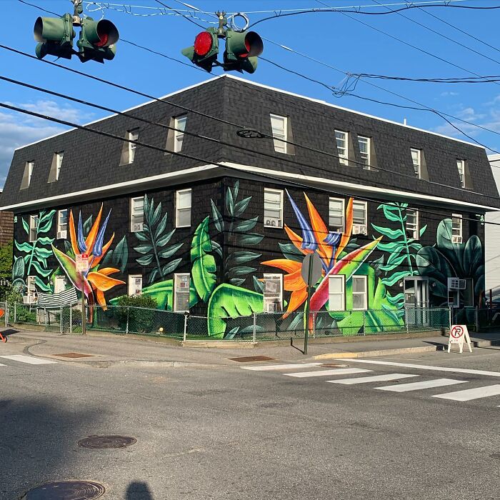 50 Jaw-Dropping Murals That Totally Transform New England Walls