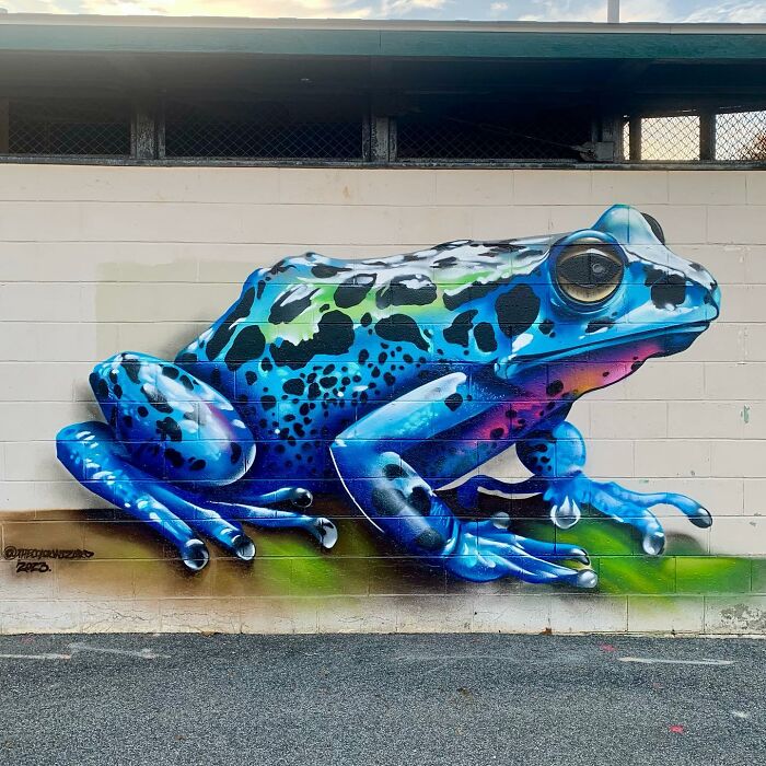 50 Jaw-Dropping Murals That Totally Transform New England Walls