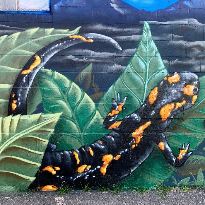 50 Jaw-Dropping Murals That Totally Transform New England Walls