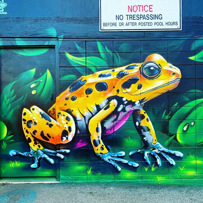 50 Jaw-Dropping Murals That Totally Transform New England Walls