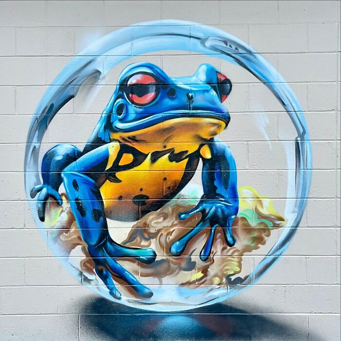 50 Jaw-Dropping Murals That Totally Transform New England Walls