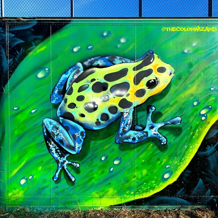 50 Jaw-Dropping Murals That Totally Transform New England Walls