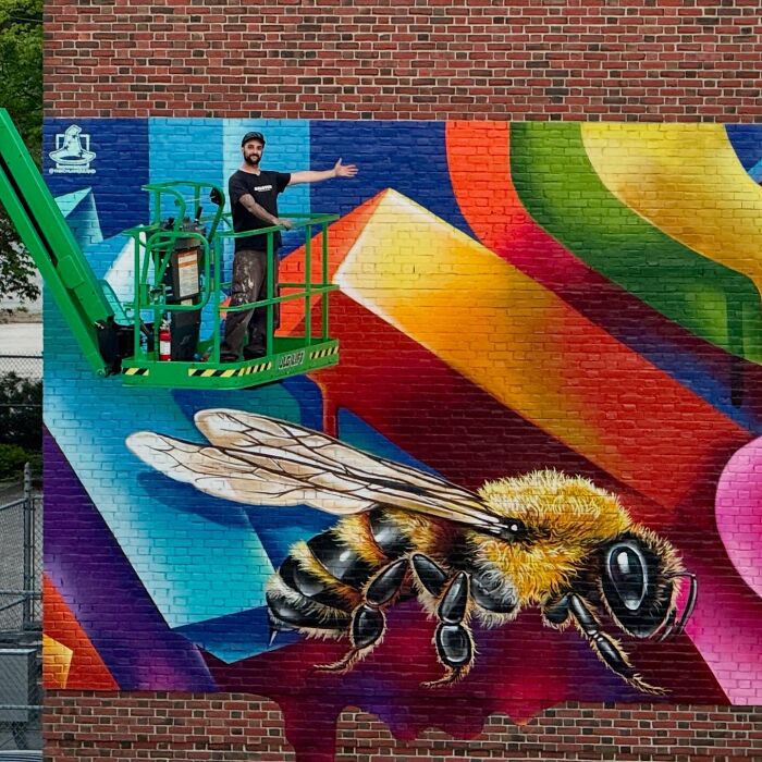 50 Jaw-Dropping Murals That Totally Transform New England Walls
