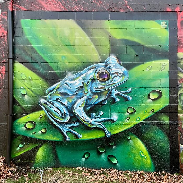 50 Jaw-Dropping Murals That Totally Transform New England Walls