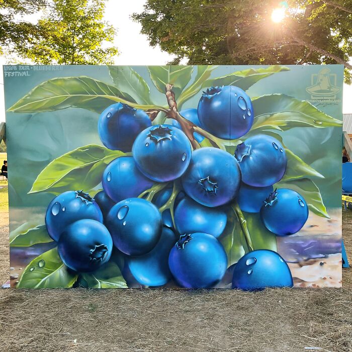 50 Jaw-Dropping Murals That Totally Transform New England Walls