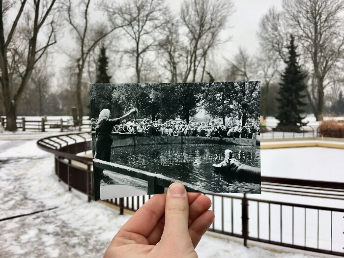 These 40 Photos Are Time-Traveling Magic—People Recreated Old Memories Right Where They Happened
