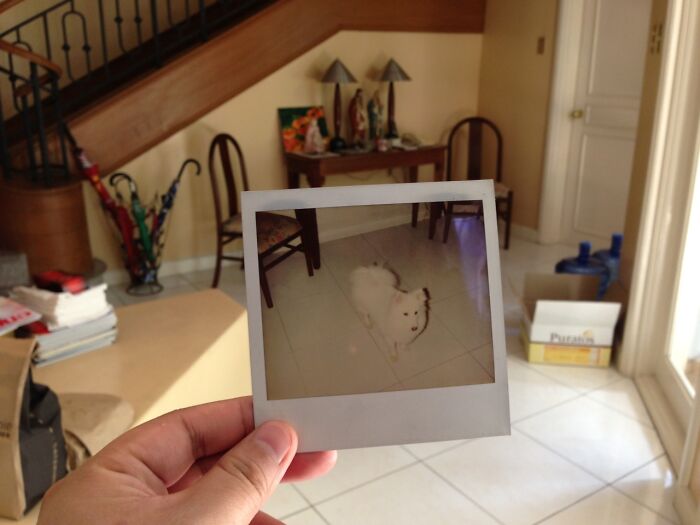 These 40 Photos Are Time-Traveling Magic—People Recreated Old Memories Right Where They Happened