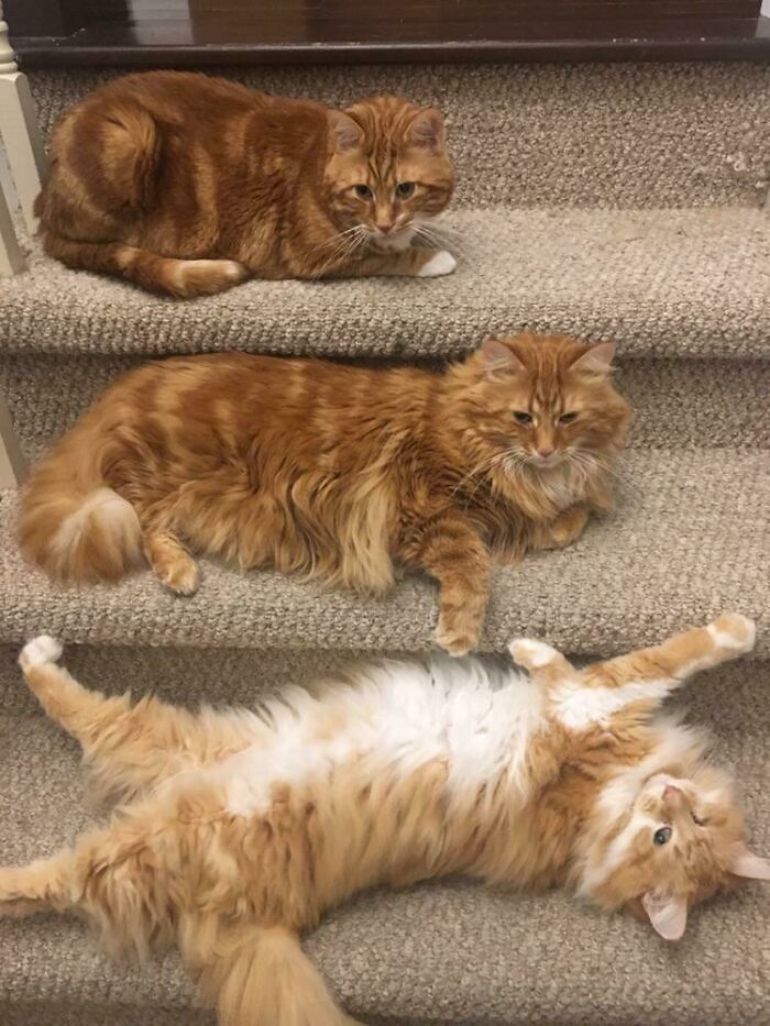 The Three Levels of Lazy