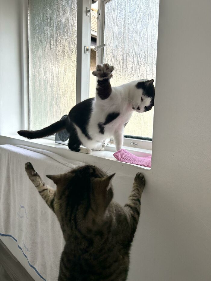 They Want to Look Out the Window — Separately